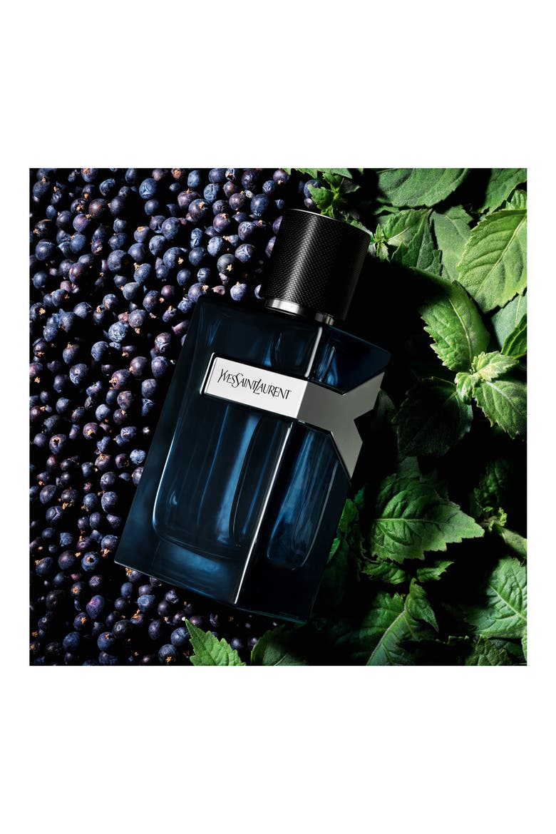 Y Eau de Parfum Intense, Alternate, color, NO COLOR