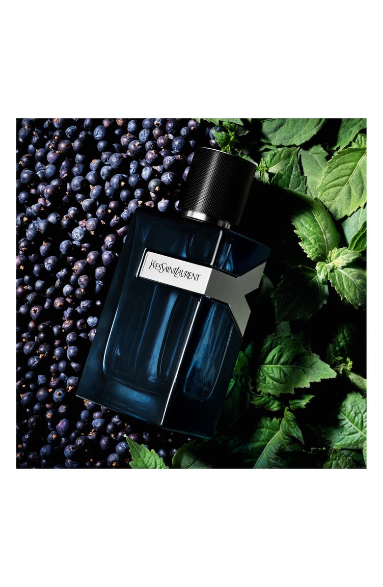 Yves Saint Laurent Y Eau de Parfum Intense, Alternate, color, 