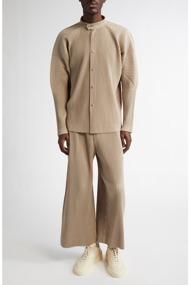 Monthly Colors September Pleated Crop Wide Leg Pants, Alternate, color, GRAIN BEIGE