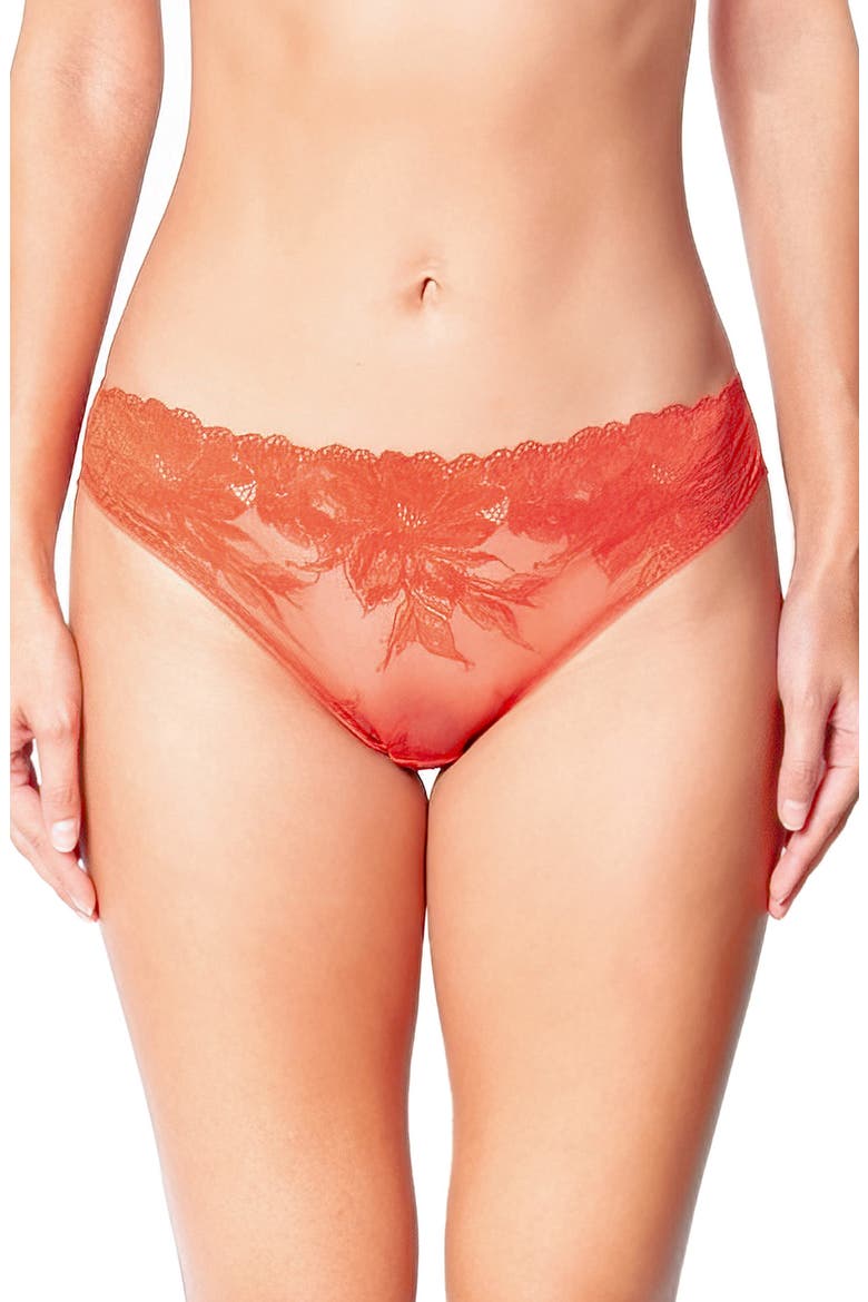 Brandy Bikini Briefs, Main, color, BRICK