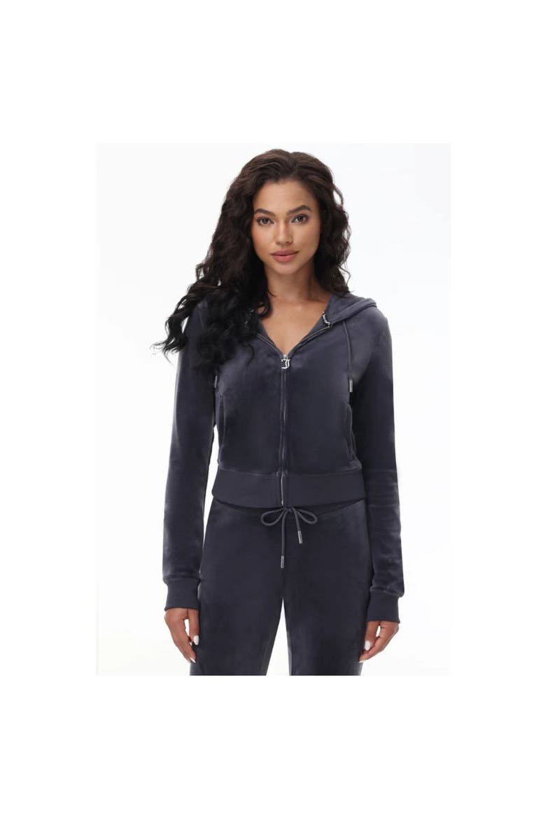 Luxe Velour Soft Chic Hoodie, Titanium, Alternate, color, TITANIUM
