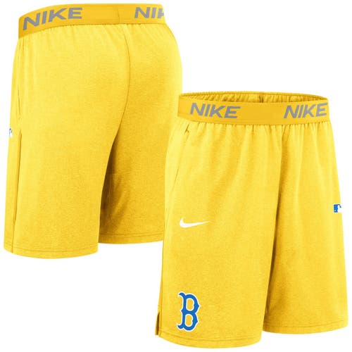 Nike Gold Boston Red Sox Authentic Collection City Connect Performance Knit Shorts In Yellow