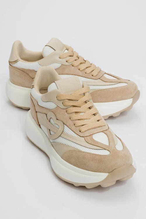 Prologue Shoes Belmon Sneakers In Multi