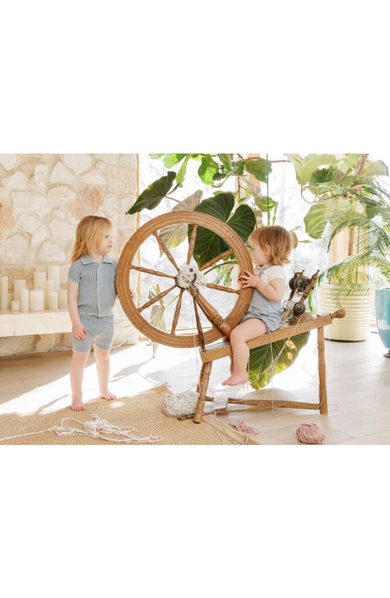 Ely's & Co. Looms Wave Collection - Shell, Alternate, color,