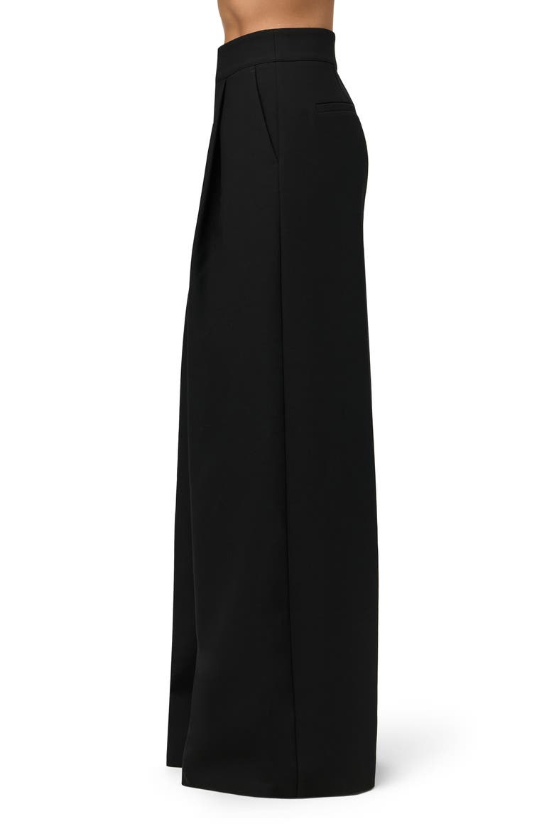 Pleated Wide Leg Pants, Alternate, color, BLACK
