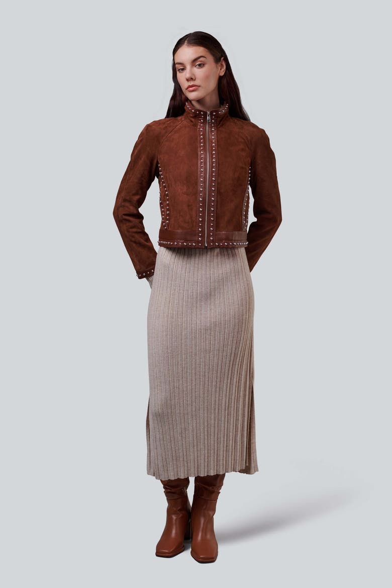 Harper Suede Studded Jacket, Alternate, color, Brown