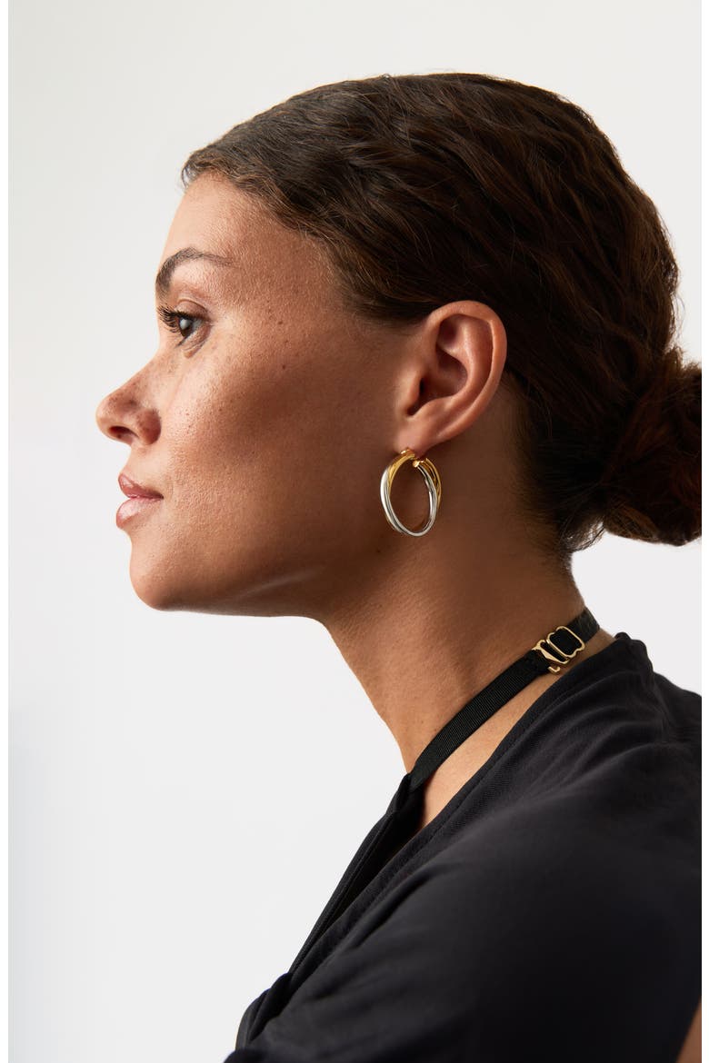 Lucy Williams Mixed Metal Hoop Earrings, Alternate, color, MIXED SILVER/GOLD