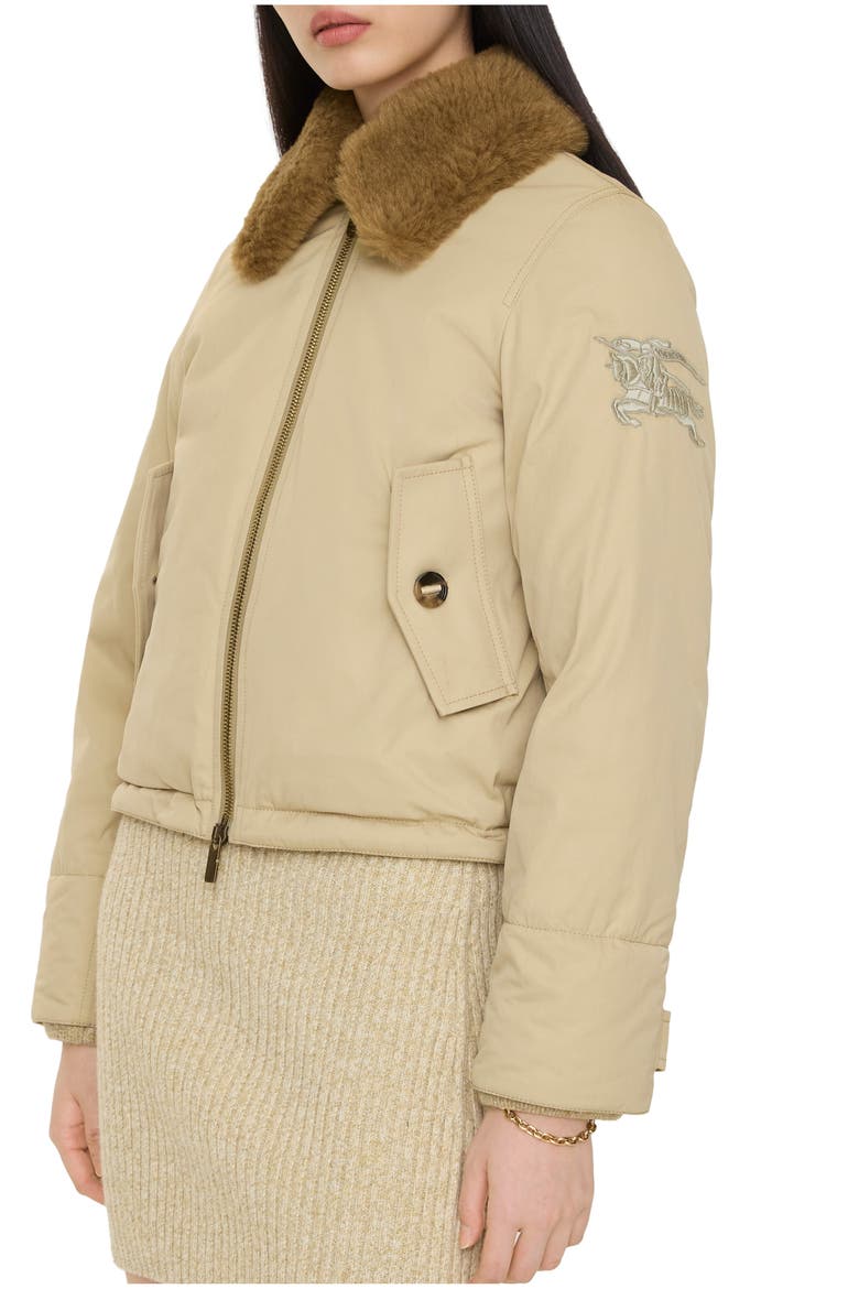 Shearling Collar Gabardine Jacket, Main, color, Dune beige