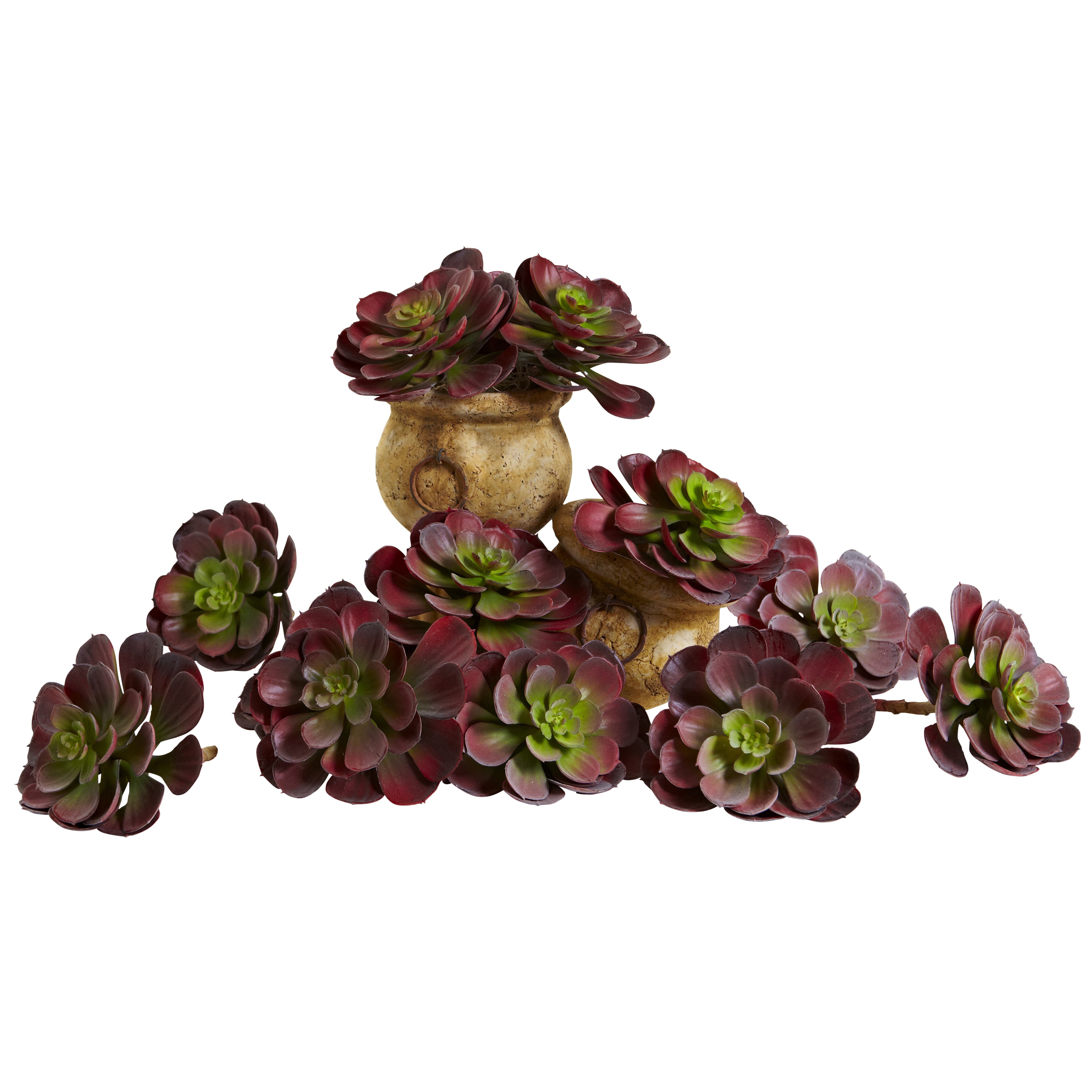 selected Burgundy