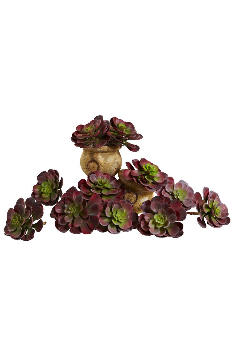 NEARLY NATURAL 6-in Echeveria Succulent, Main, color, Burgundy