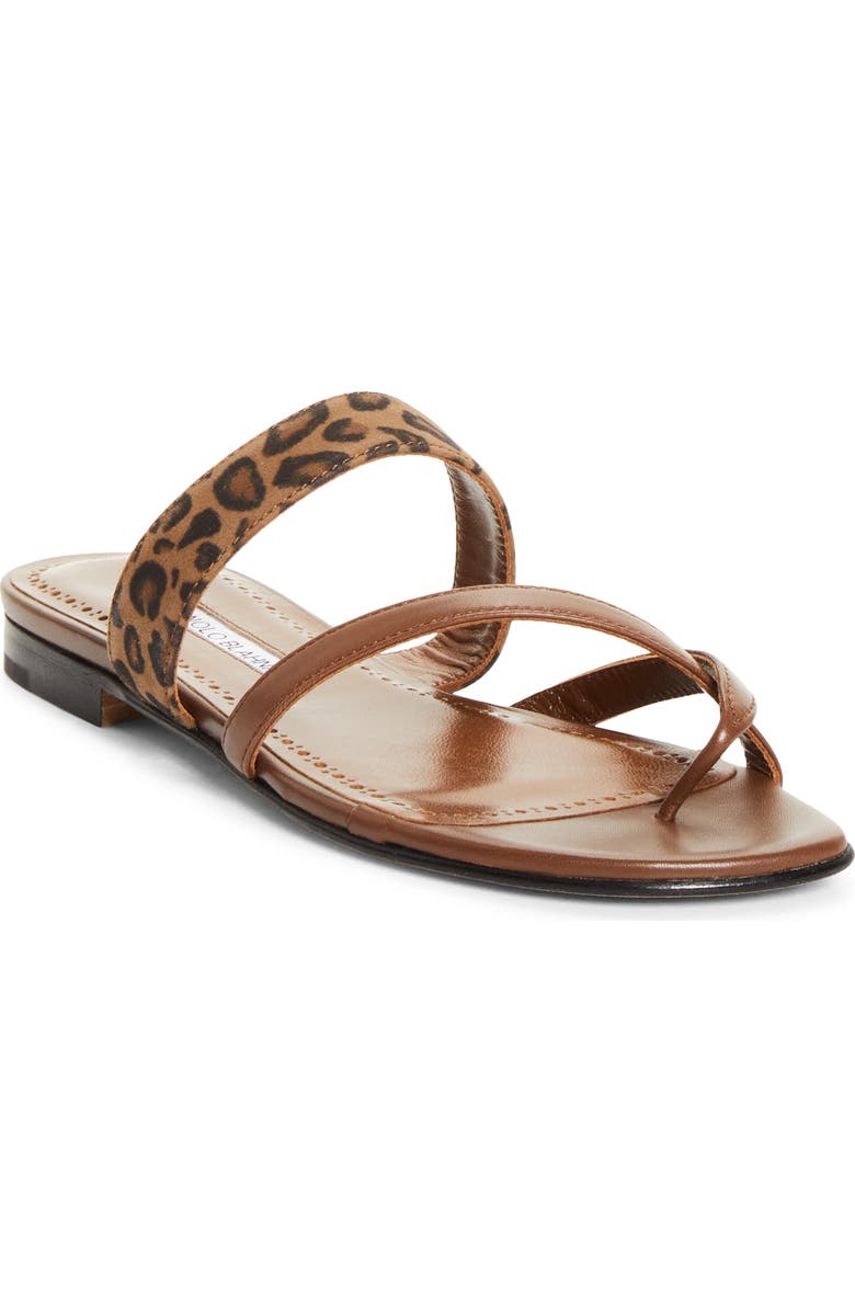 Manolo Blahnik Susa Crossover Sandal, Main, color,