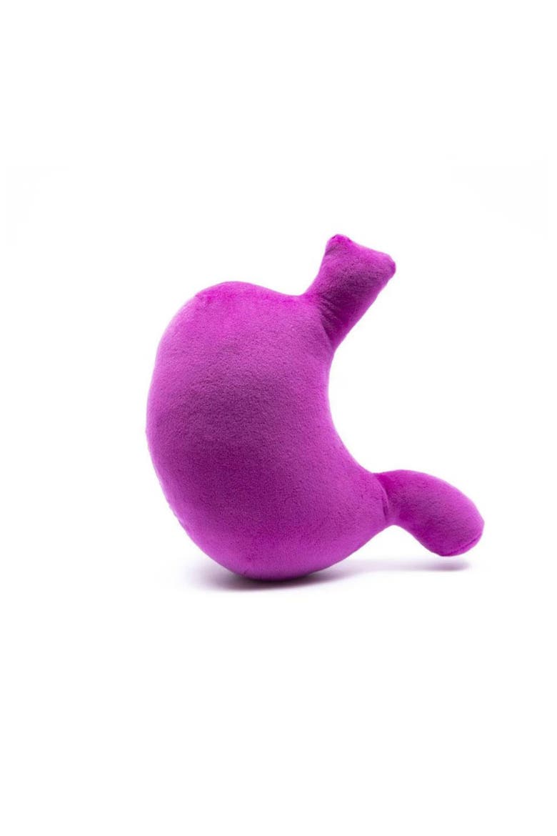 Stomach Plushie Organ Toys, Alternate, color, Dark Pink