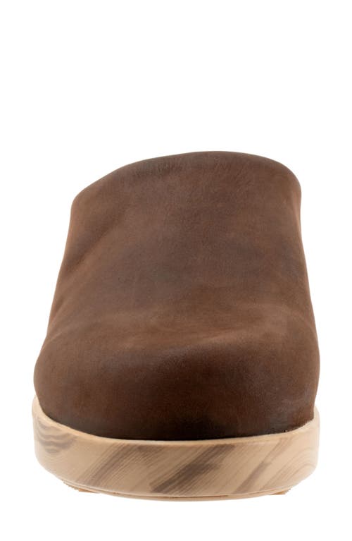 Softwalk ® Felida Platform Mule In Brown Oily