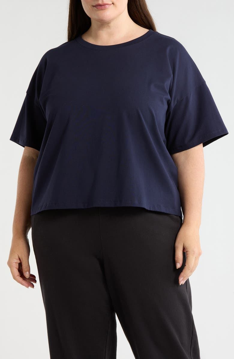 Eileen Fisher Boxy Crewneck T-Shirt, Main, color, Ink