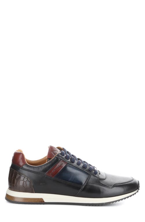 Ambitious 11717 Low Top Sneaker In Multi