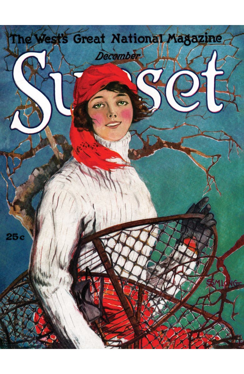 NEW YORK PUZZLE COMPANY Snowshoeing 500 Piece Puzzle, Alternate, color, NO COLOR