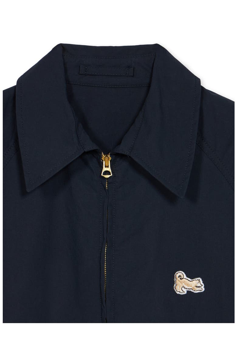 Cotton Bomber Jacket, Alternate, color, Blue