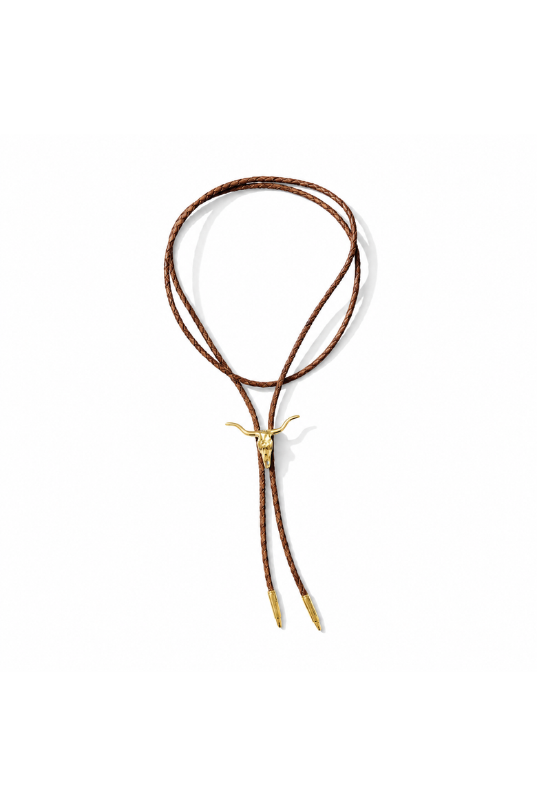 Longhorn Bolo Tie Necklace with Brown Cord, Main, color, Brown and Gold