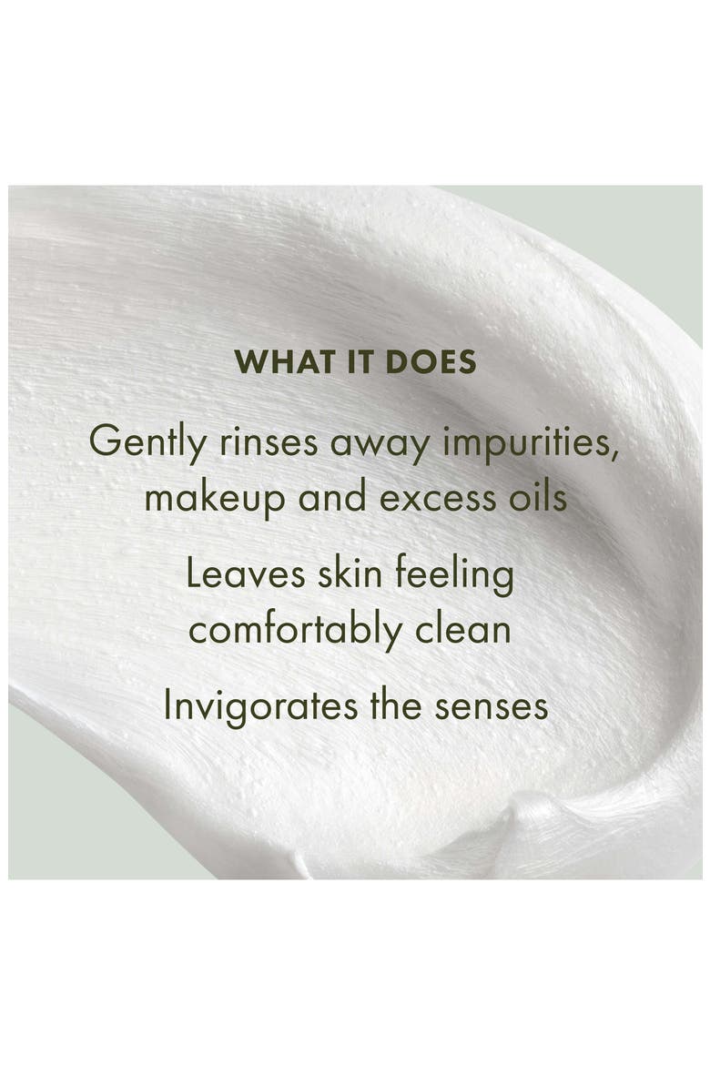 Checks and Balances™ Frothy Face Wash, Alternate, color, NO COLOR