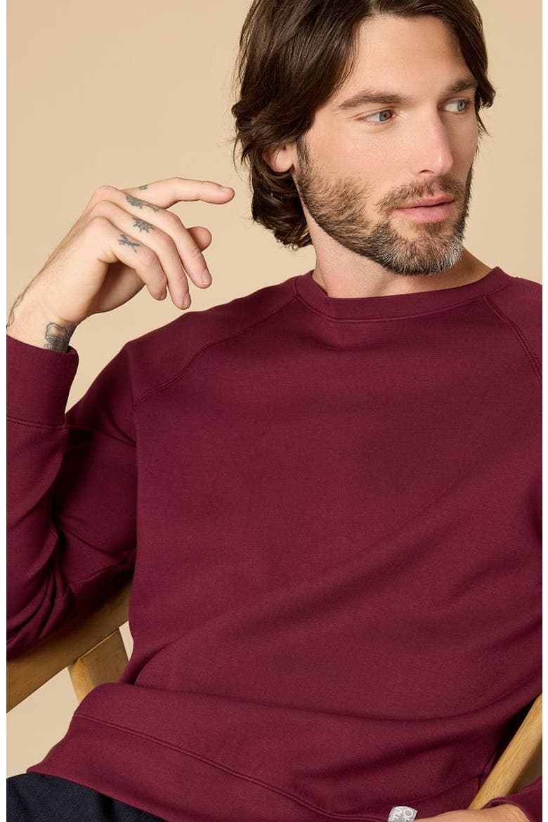 Men's DreamTech Athleisure Raglan Crew Neck, Alternate, color, Cherry Cola