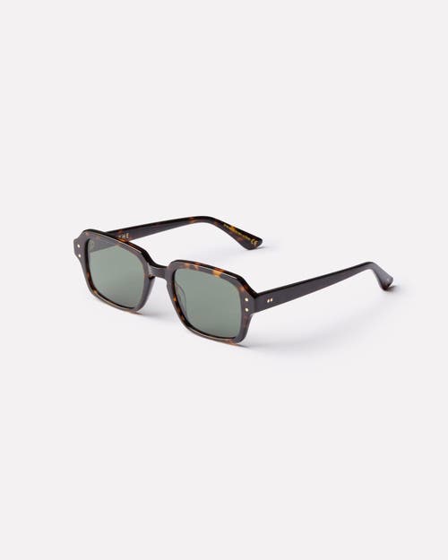Epokhe Wilson Sunglasses In Brown