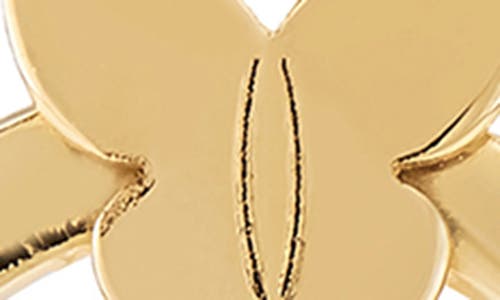 Frankie & Zoe 14k Gold Butterfly Circle Stud Earrings In Yellow Gold