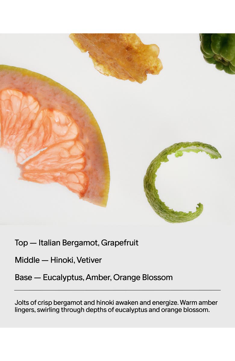 SALT & STONE Bergamot & Hinoki Full-Size Body Care Set (Nordstrom Exclusive) (Limited Edition) $121 Value, Alternate, color, 