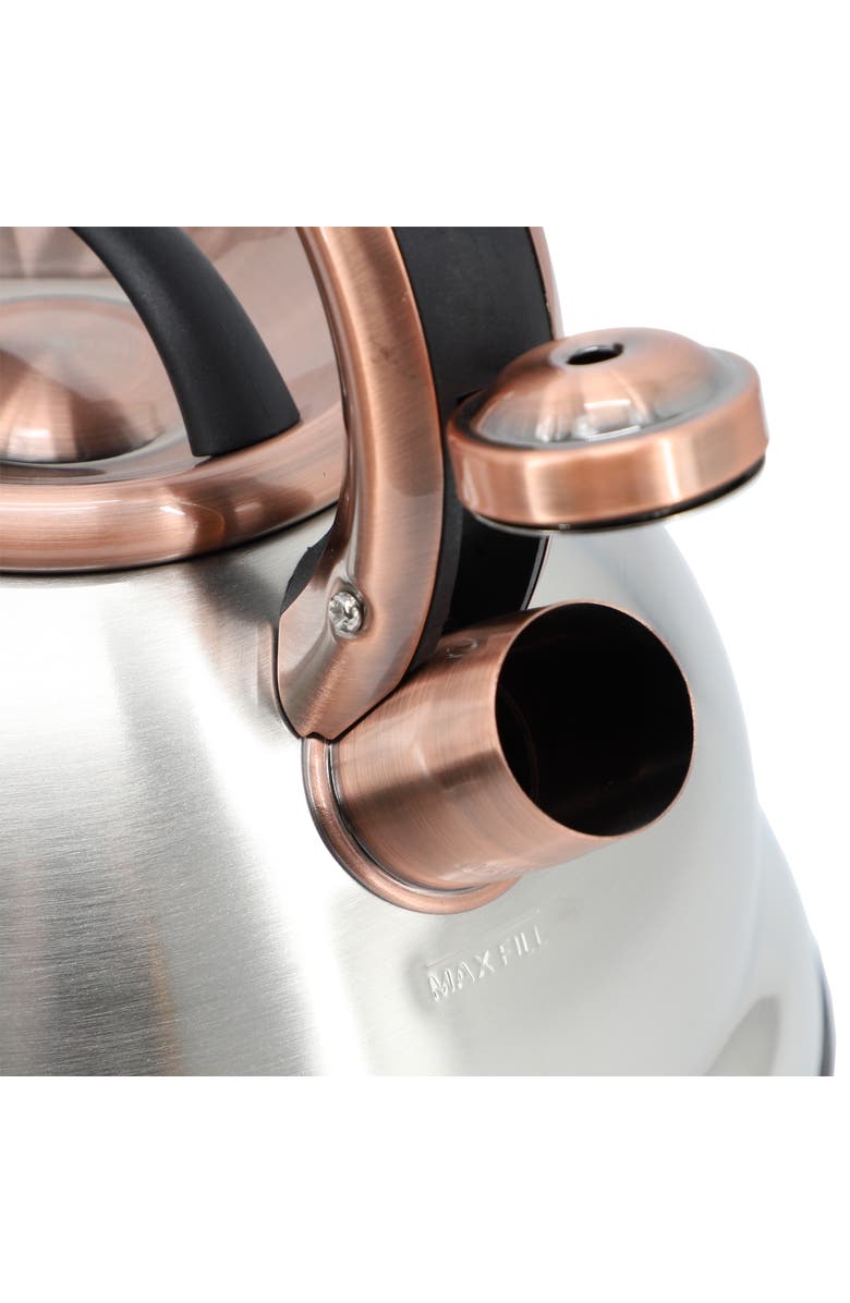 Mr. Coffee Flintshire 2.2 Quart Stainless Steel Whistling Tea Kettle, Alternate, color, Metallic Silver