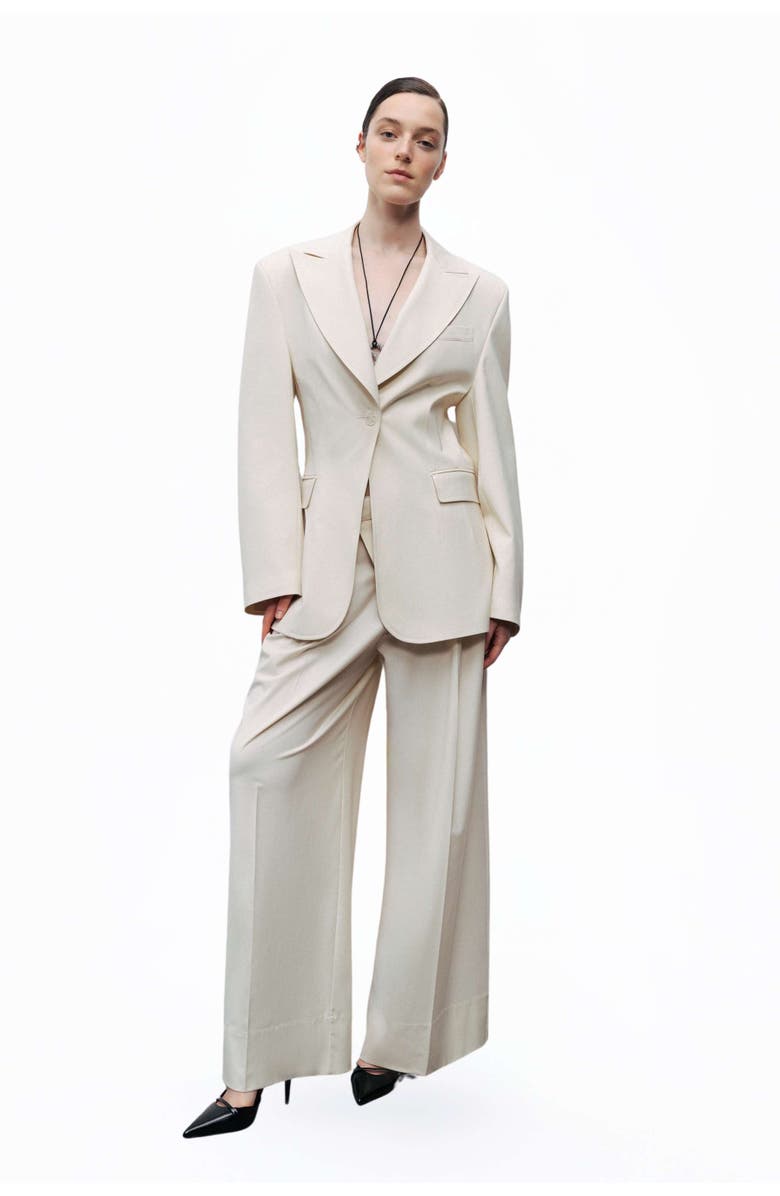 Nocturne Asymmetric Placket Detail Pants, Alternate, color, 