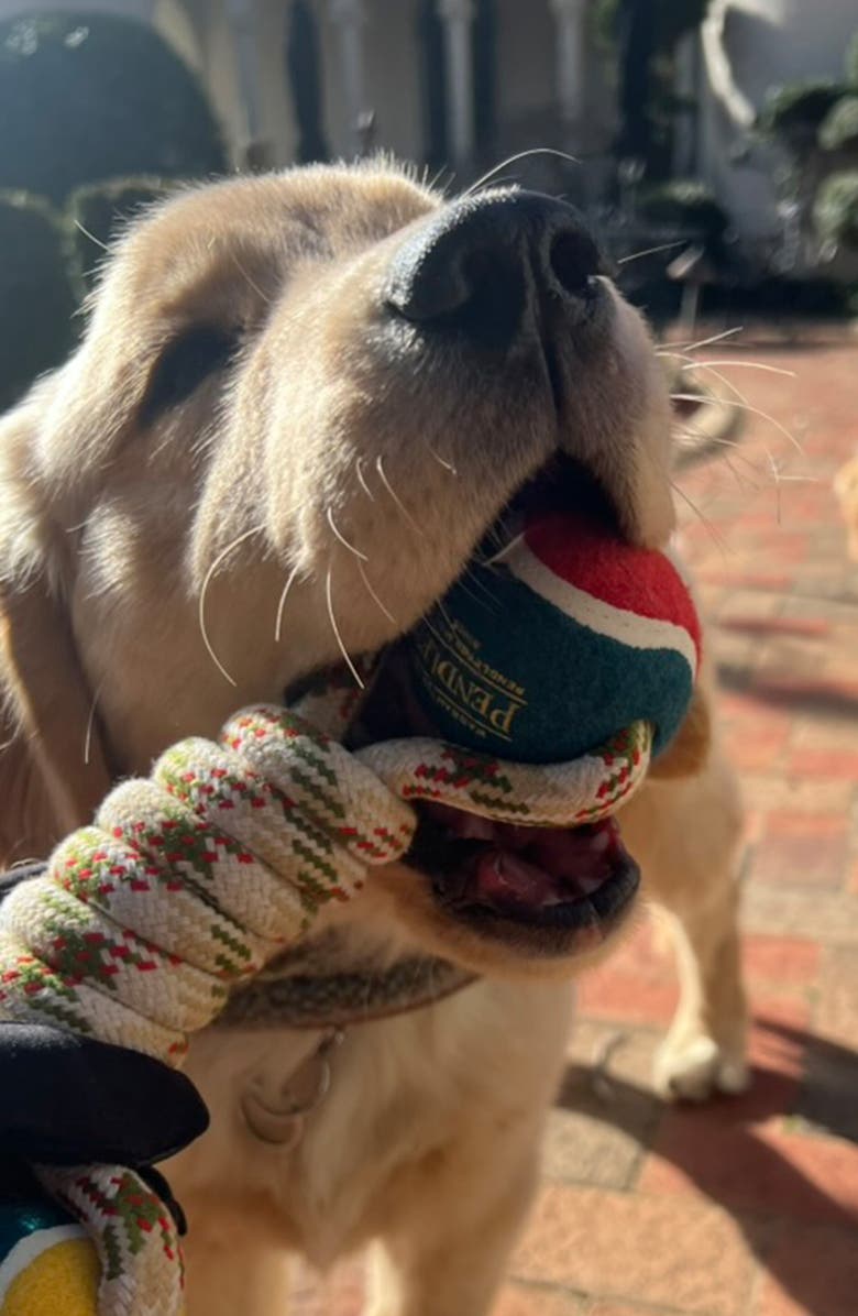 Pendleton Lasso Rope Dog Toy, Alternate, color, Beige