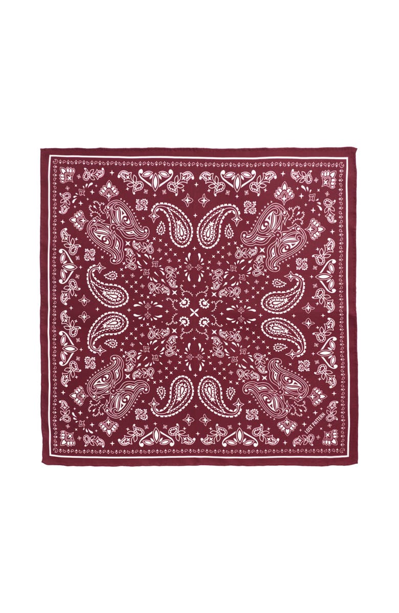 Lost Pattern "Paisley" Silk Bandana Scarf, Main, color, Rodeo Red