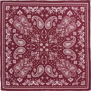Lost Pattern "Paisley" Silk Bandana Scarf