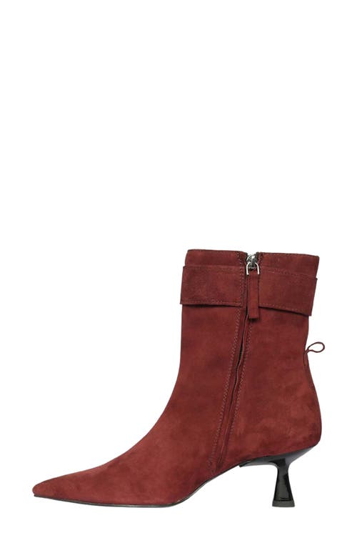 Saint G Eishi Pointed Toe Bootie In Brown