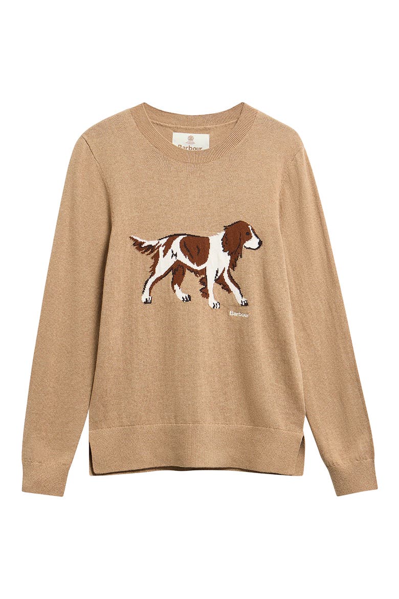 Fareham Knitted Sweater, Alternate, color, WARM TRENCH
