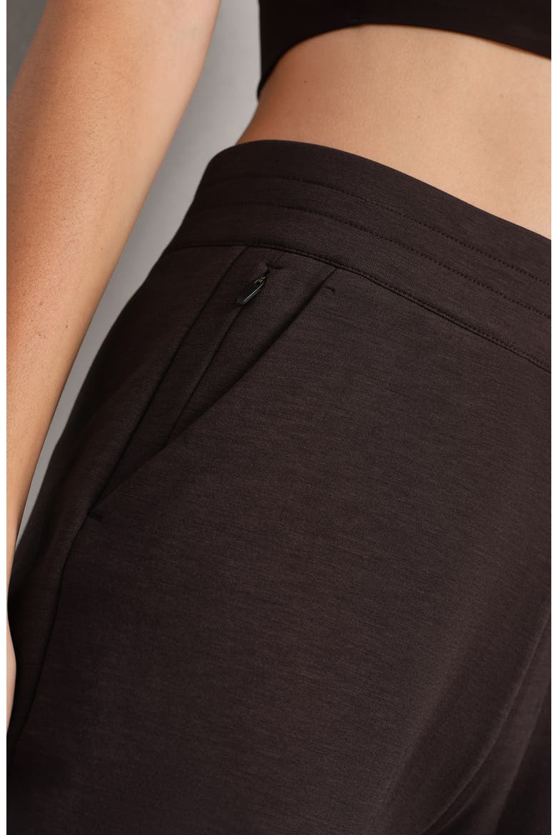 Dreamglow Tapered Pants, Alternate, color, DARK ESPRESSO