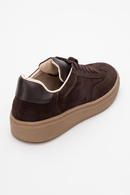 Forever & Always Shoes Fyore Leather Sneakers In Brown Suede Leather