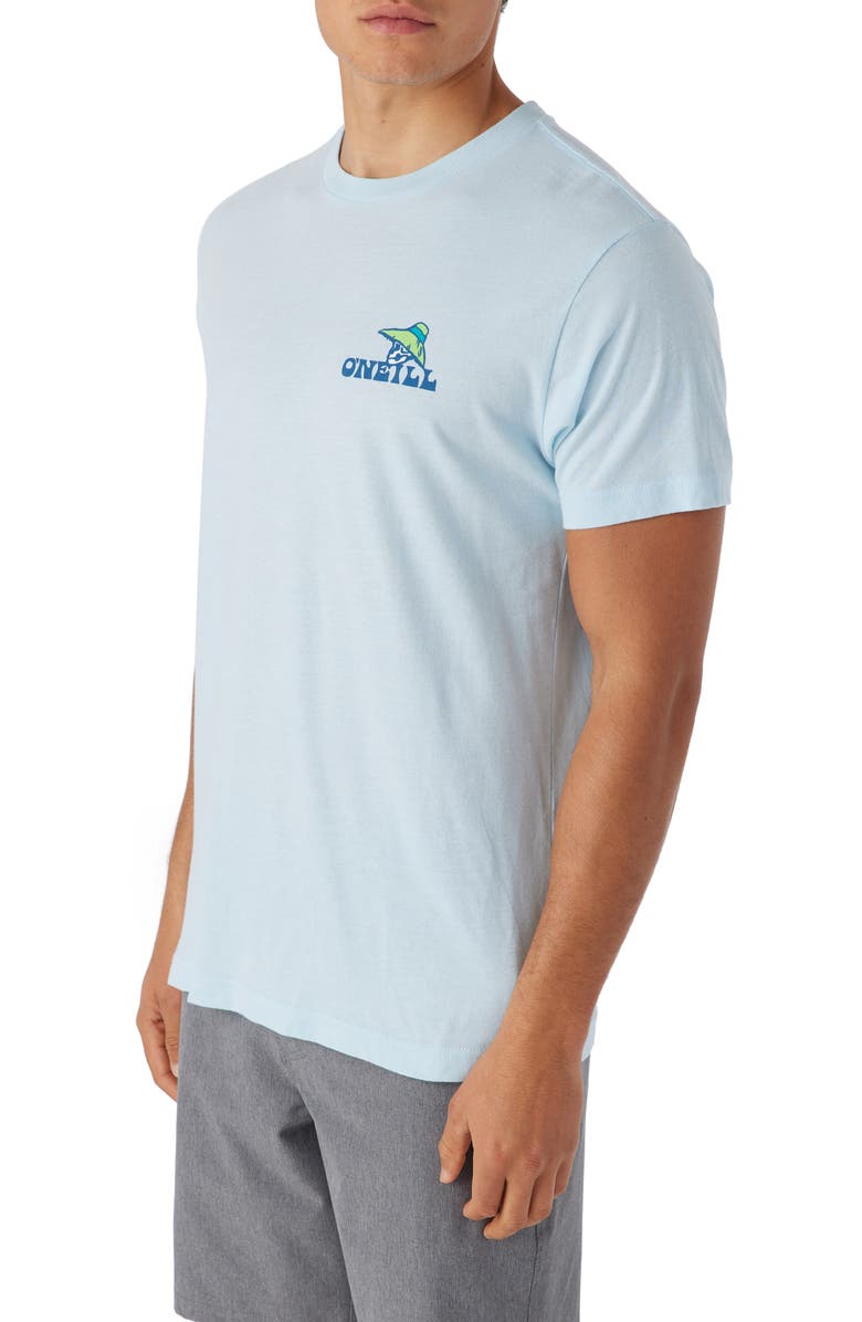O'Neill Chill Bones Graphic T-Shirt, Alternate, color,