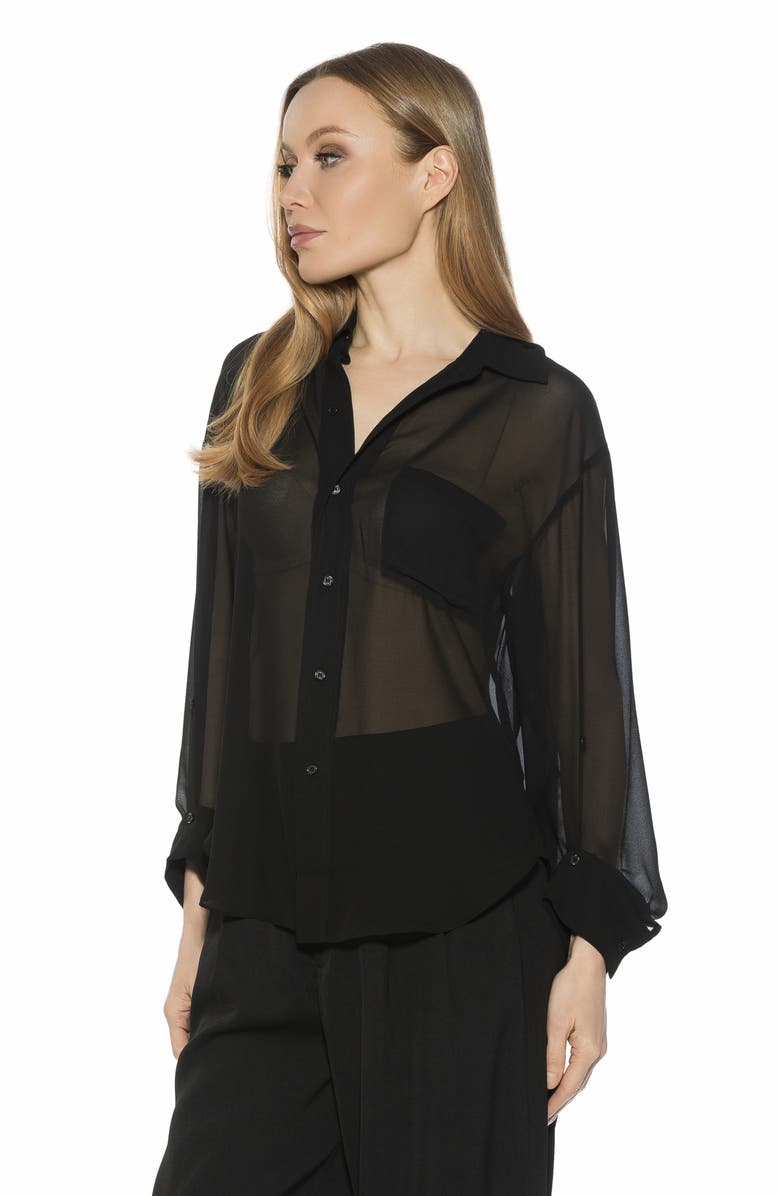 Alexia Admor Atticus Sheer Button Up Shirt, Alternate, color, 