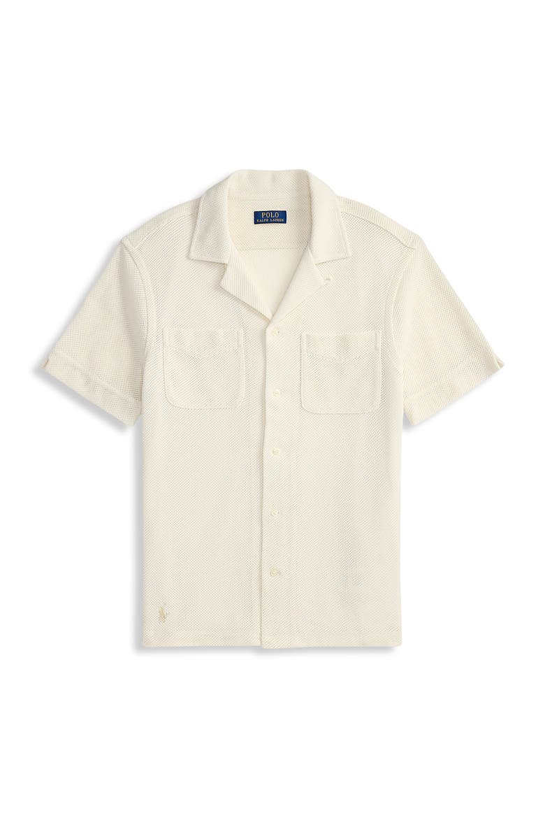 Big & Tall Pointelle Button-Down Polo Shirt, Alternate, color, PALE CREAM