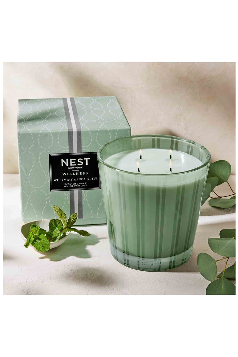 Wild Mint & Eucalyptus Scented Classic Candle, Alternate, color, NO COLOR
