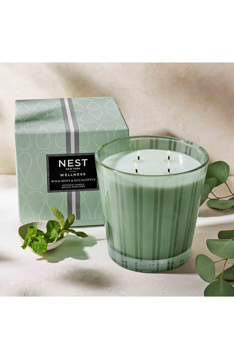 NEST New York Wild Mint & Eucalyptus Scented Classic Candle, Alternate, color,