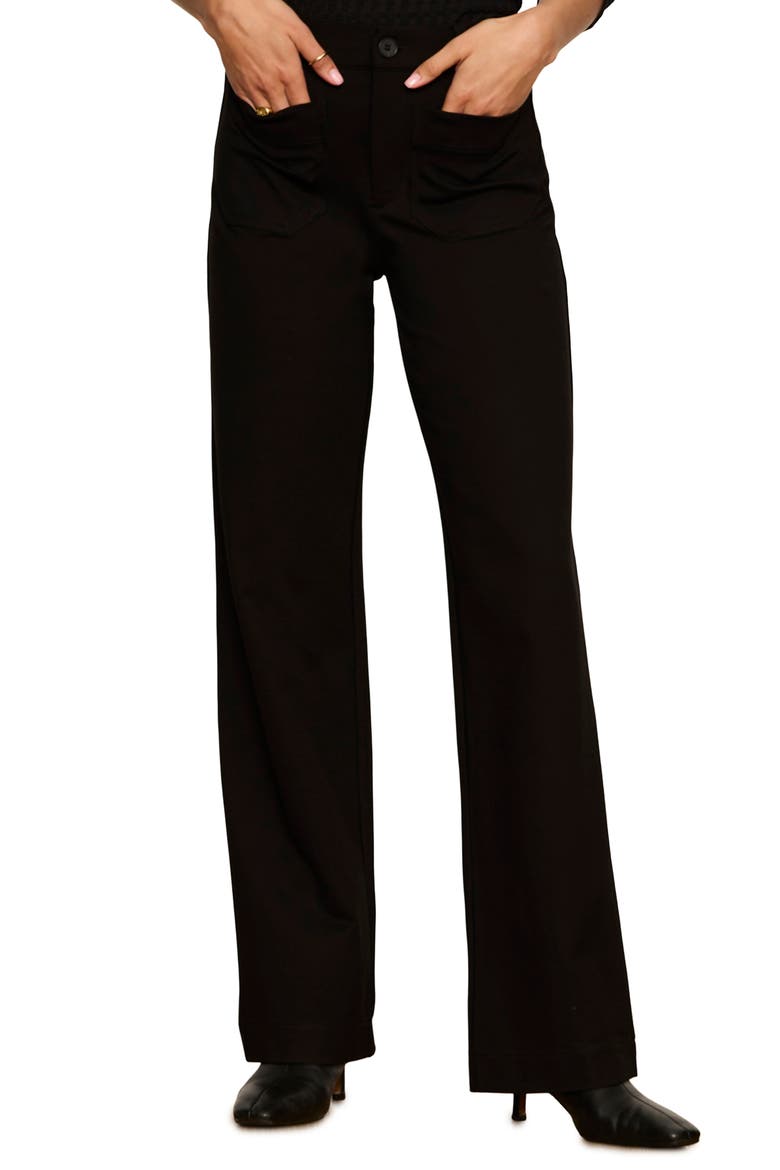 Marine Ponte Straight Leg Pants, Alternate, color, BLACK