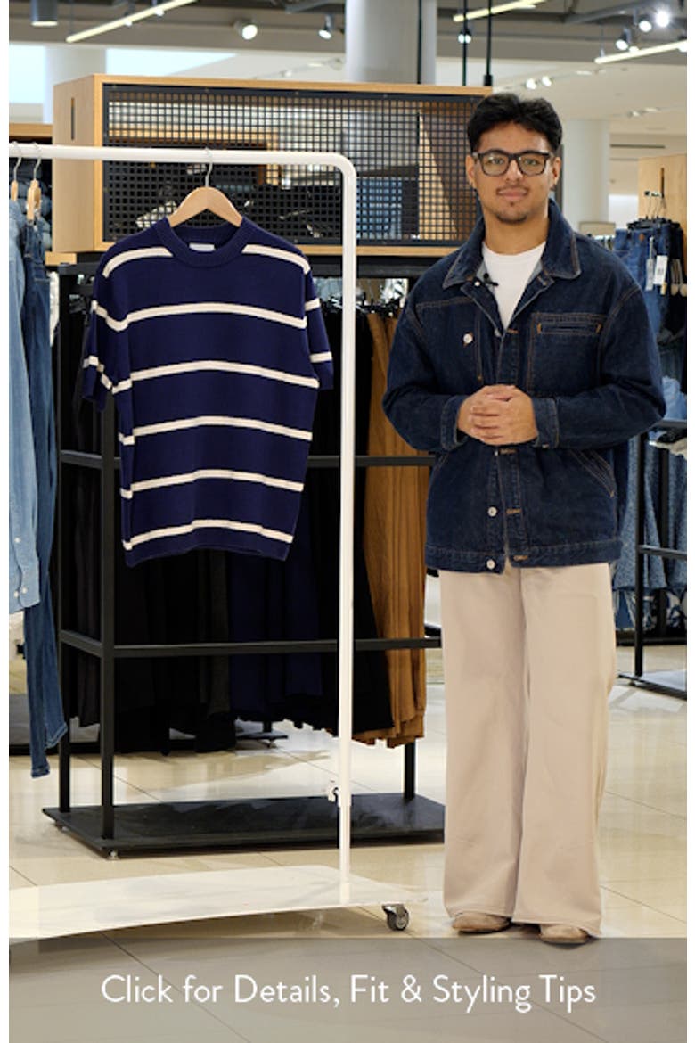 Textured Stripe Short Sleeve Crewneck Sweater video