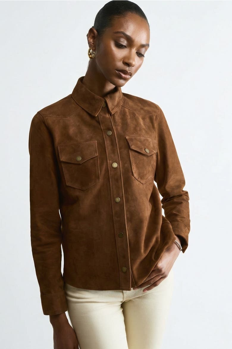 Juliet Suede Shirt, Alternate, color, Chestnut