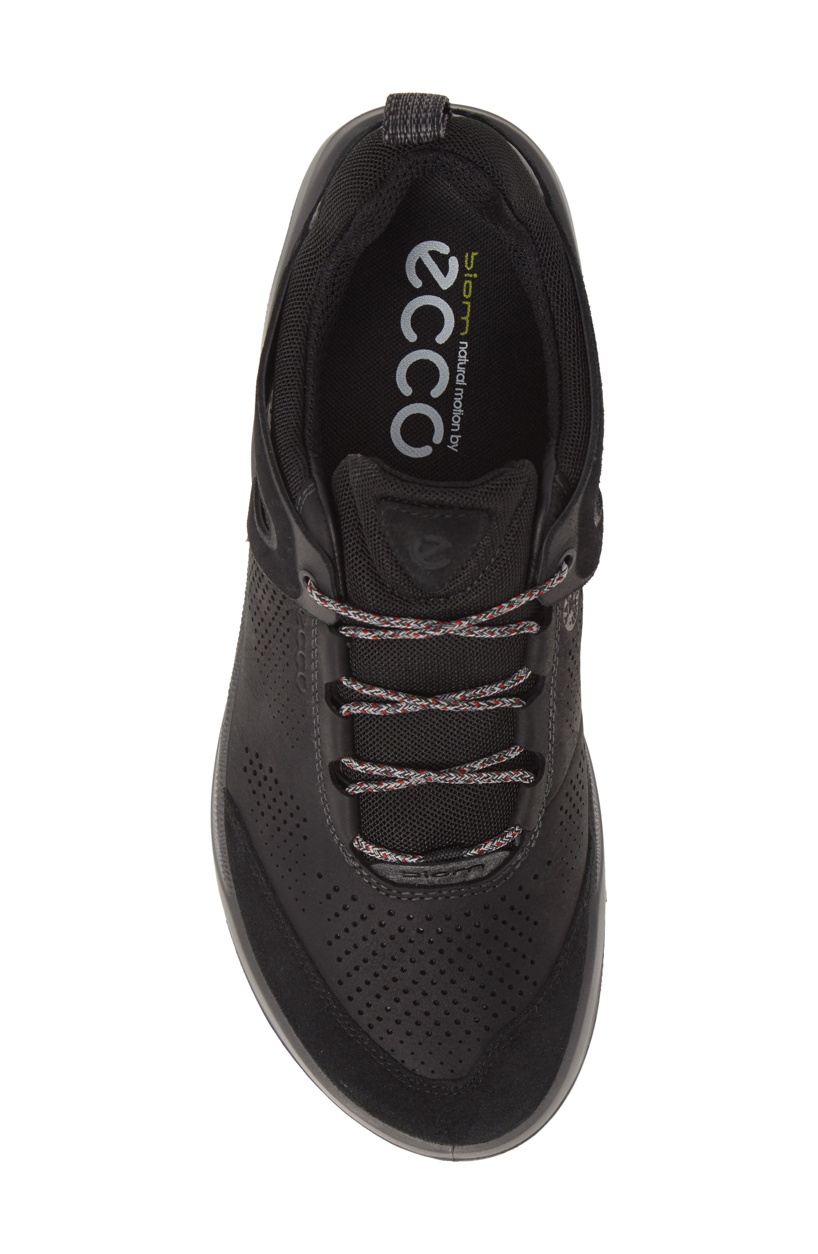 ECCO BIOM 2GO Waterproof Sneaker, Alternate, color, 