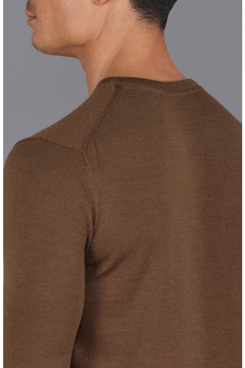 Merino Wool Crew Neck Sweater, Alternate, color, Oakbrown