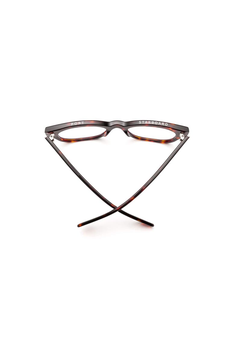 Miklos | Reading Glasses, Alternate, color, Turtle