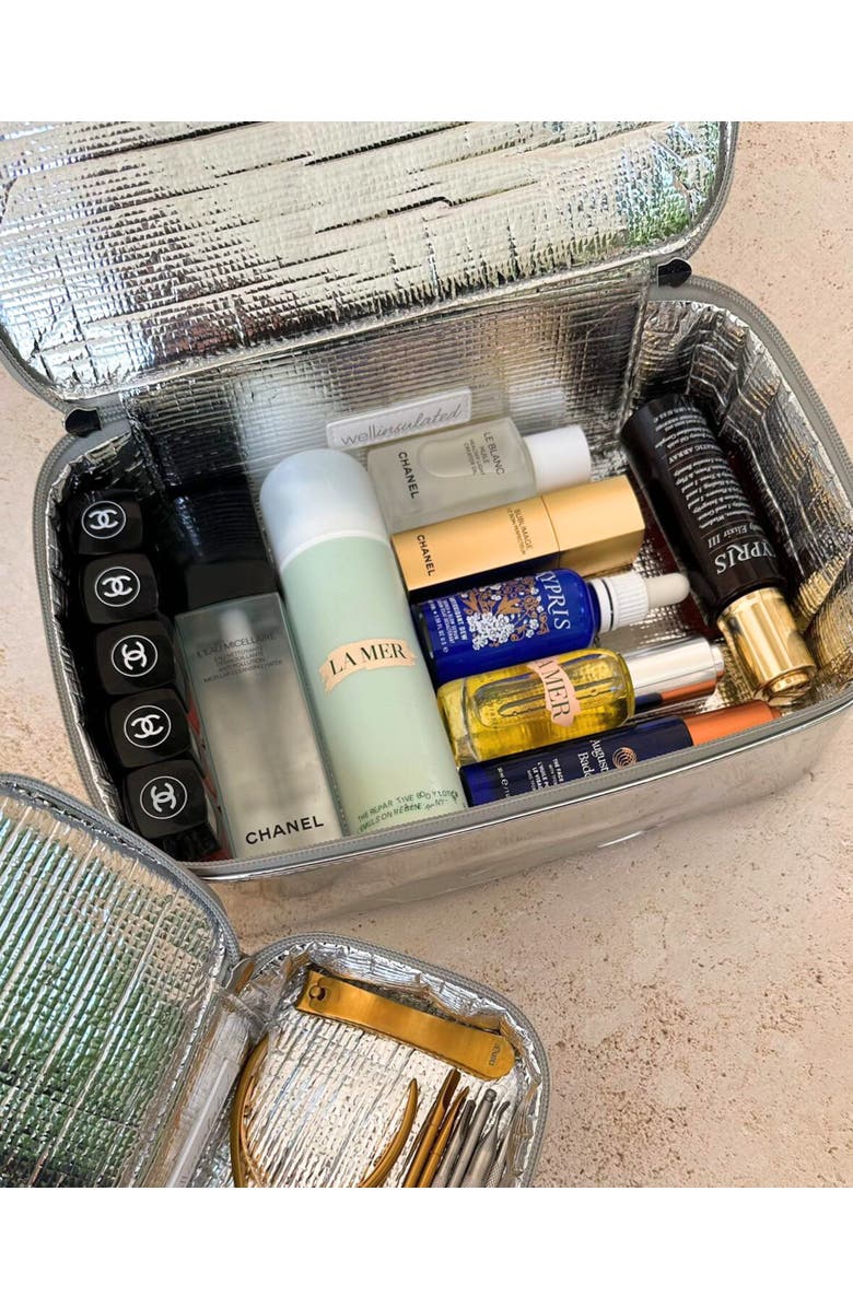 WELLinsulated Performance Travel Case, Alternate, color, Silver