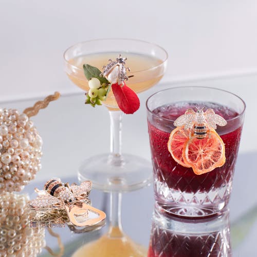 Joanna Buchanan Set-of-five Mini Bug Clip Set In Multi