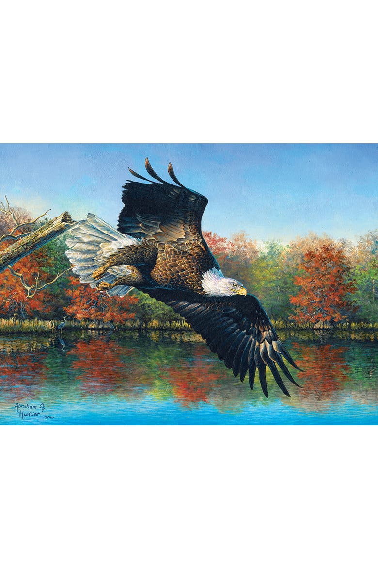 Wetlands Eagle 1000 piece Jigsaw Puzzle for Adults, Alternate, color, Multicolor